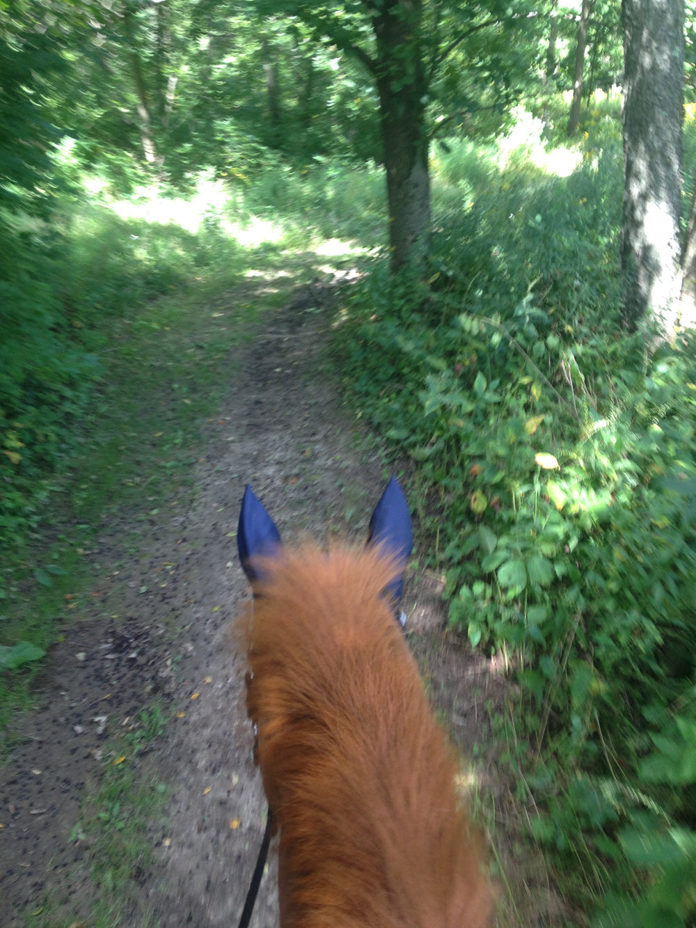 The View and Inspiration Behind the Seams of Equestrianista