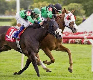 Your OTTB's First Career: Part 1