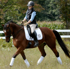 Cross Training for Improving the Equestrian's Endurance and Coordination